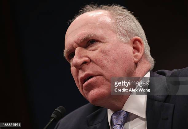 Central Intelligence Agency Director John Brennan testifies during a hearing before the House Intelligence Committee February 4, 2014 on Capitol Hill...