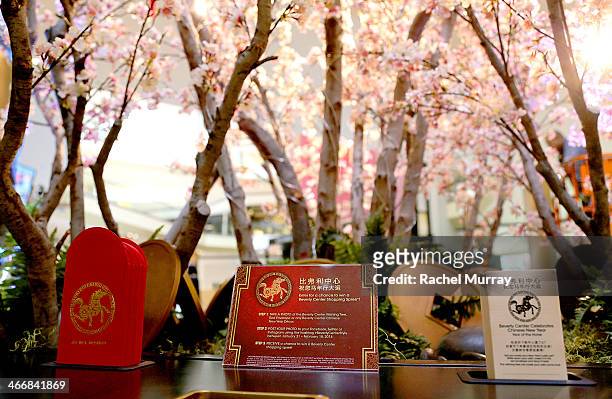 General view of atmosphere as actress Jenna Ushkowitz celebrates Chinese New Year at The Beverly Center on February 4, 2014 in Los Angeles,...