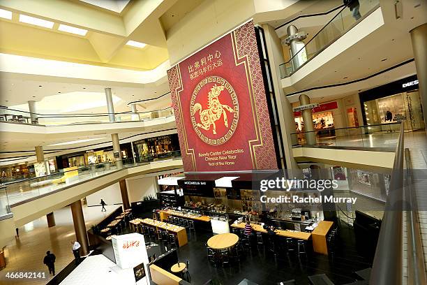 General view of atmosphere as actress Jenna Ushkowitz celebrates Chinese New Year at The Beverly Center on February 4, 2014 in Los Angeles,...