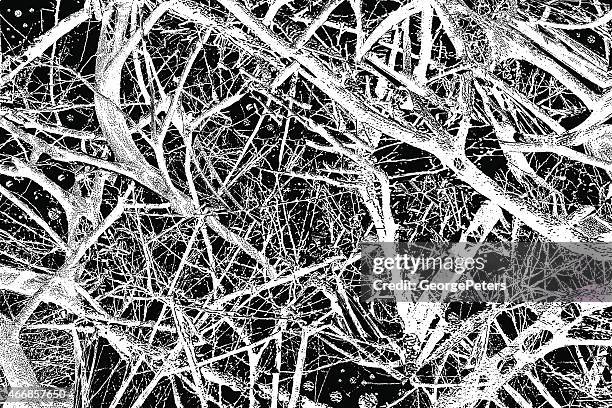 tangled branches background - macrophotography stock illustrations