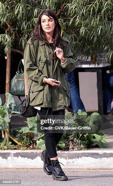 Shenae Grimes is seen on February 04, 2014 in Los Angeles, California.