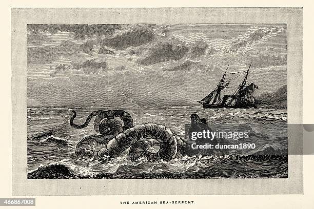 sea monster - american sea-serpent - sea monster stock illustrations