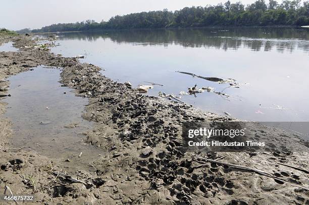 Pug marks of leopards on the wet sand of bank at Usmanpur area near Pusta on March 19, 2015 in New Delhi, India. According to the local residents...