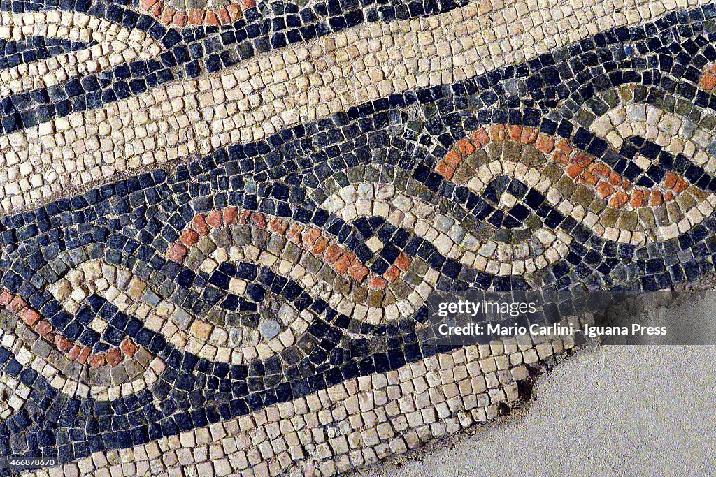 Roman Mosaic Preview