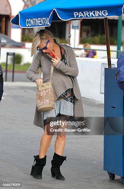 Elsa Pataky is seen at Whole Foods Market on February 04, 2014 in Los Angeles, California.