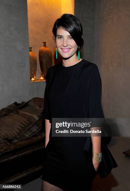 Actress Cobie Smulders attends a cocktail party to celebrate the debut fragrance by Irene Neuwirth hosted by Barneys New York on February 4, 2014 in...