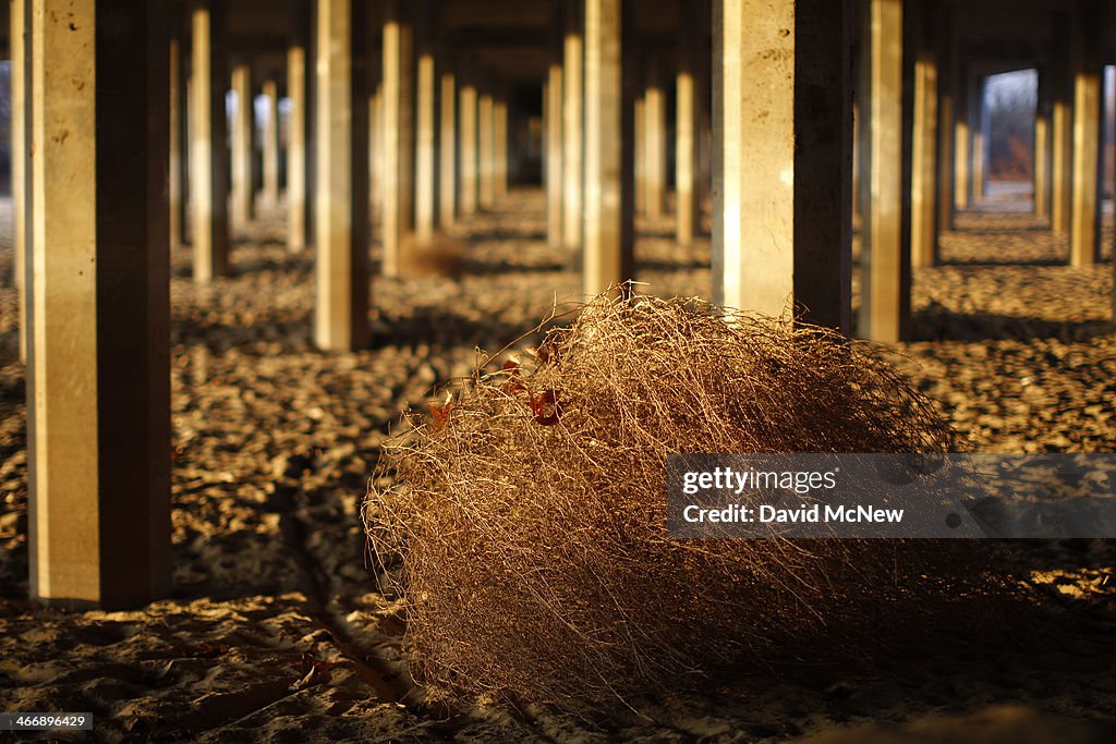 California's Central Valley Impacted By Major Drought
