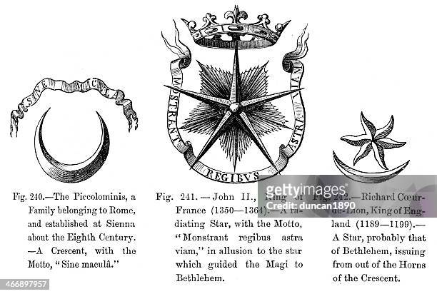 medieval heraldic symbols - insignia stock illustrations