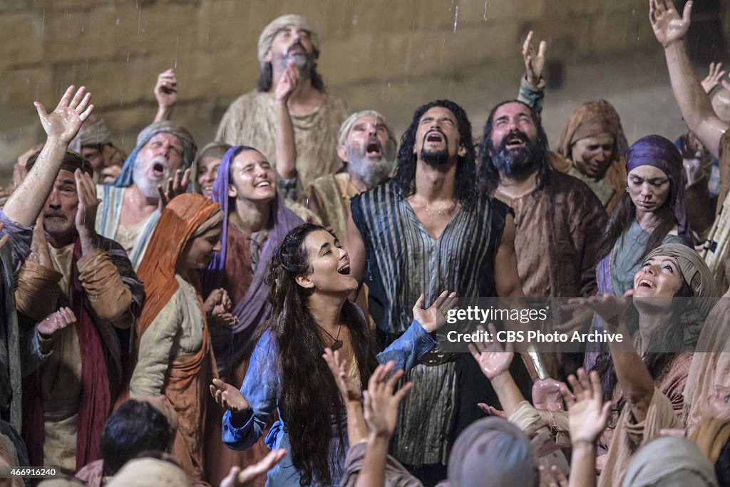 The Dovekeepers