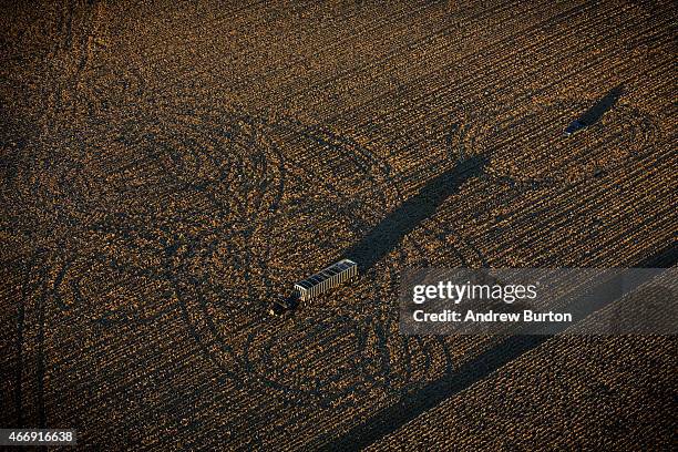 Tire tracks in a harvested field are seen near where the proposed Keystone XL pipeline would pass on October 13, 2014 southeast of Winner, South...