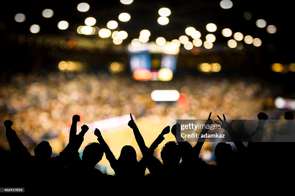 Basketball Excitement