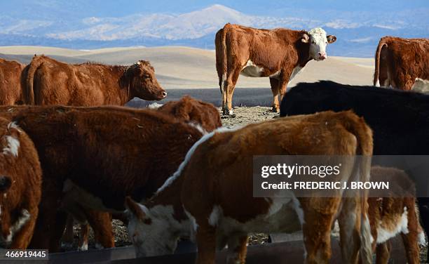 California Ranchers 844 Grass Valley California Stock Photos, High-Res Pictures, and Images ...