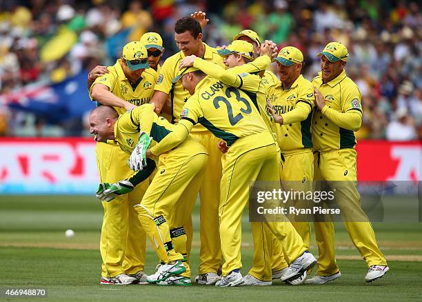 Brad Haddin of Australia reacts after rolling his ankle during the wicket celebration as Josh Hazlewood of Australia claimed the wicket of Ahmed...