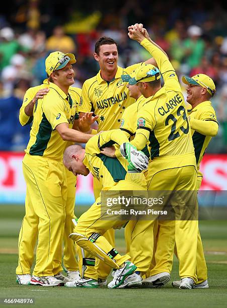 Brad Haddin of Australia reacts after rolling his ankle during the wicket celebration as Josh Hazlewood of Australia claimed the wicket of Ahmed...