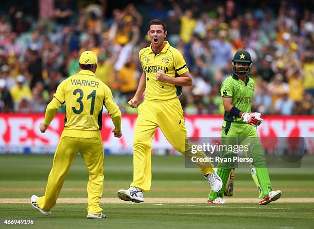 Josh Hazlewood of Australia celebrates after taking the wicket of Ahmed Shehzad of Pakistan during the 2015 ICC Cricket World Cup match between...