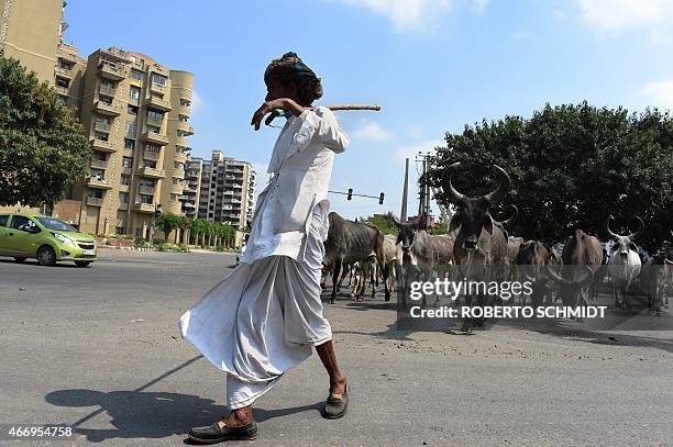 To go with story 'India-UN-environment-water' by Claire Cozens In this photograph taken on March 16 Beena Ram, a nomad cattle herder from Rajasthan,...