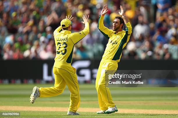 Michael Clarke and Glenn Maxwell of Australia celebrate taking the wicket of Umar Akmal of Pakistan during the 2015 ICC Cricket World Cup match...