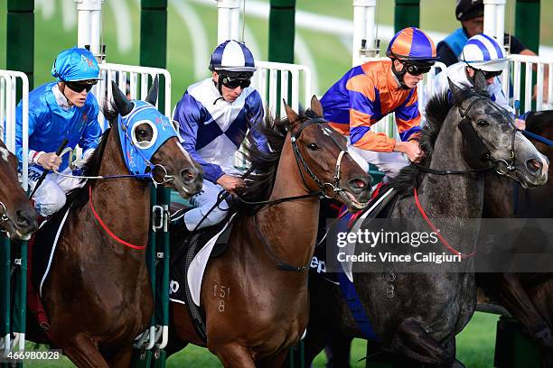 Craig Williams riding Arch Fire, Ben Melham riding Post D' france and Chad Schofield riding Schockemohle during barrier start of Race 2, during...