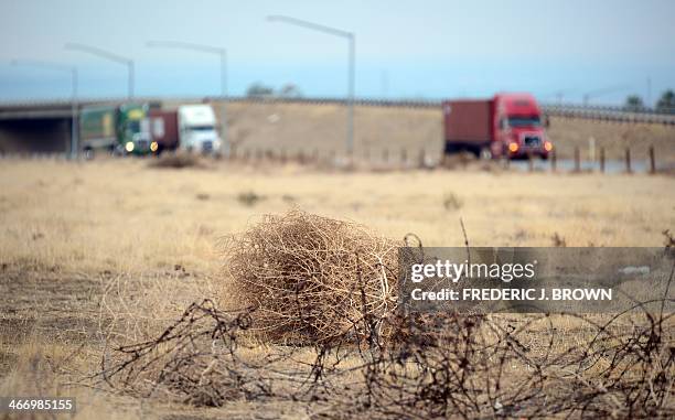 Tumbleweed rolls across a dried out landscape in central California's Kern County as trucks head south toward the Grapevine to begin the climb over...