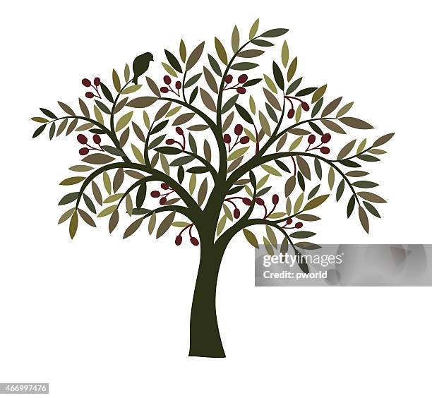 illustration of an olive tree with a bird in the branches - olive tree stock illustrations