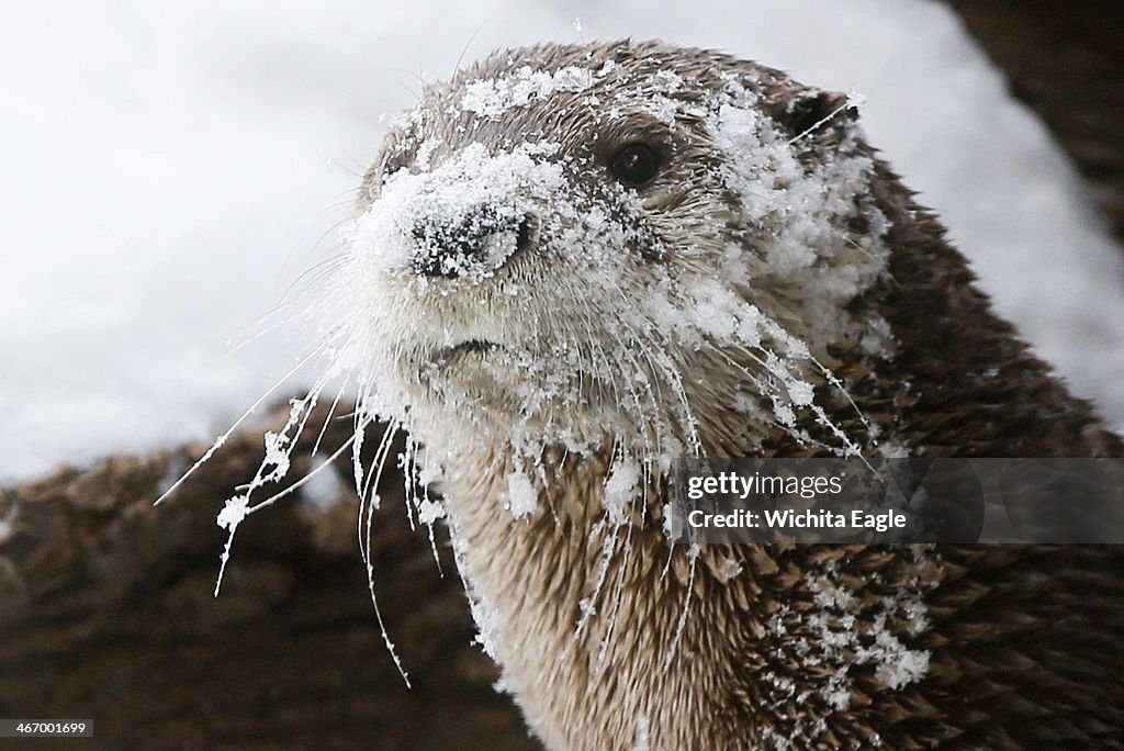 Winter storms bring ice and cold temps