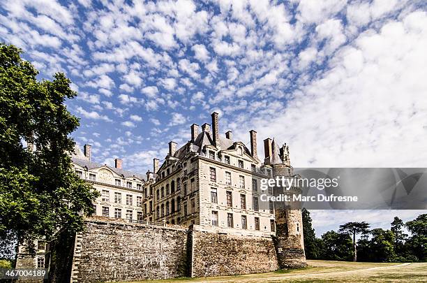 side of brissac castle in loire, france - chateau france stock pictures, royalty-free photos & images