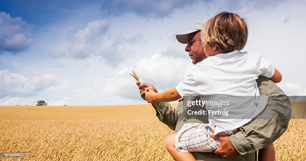 Farmer with his son checking the wheat crop