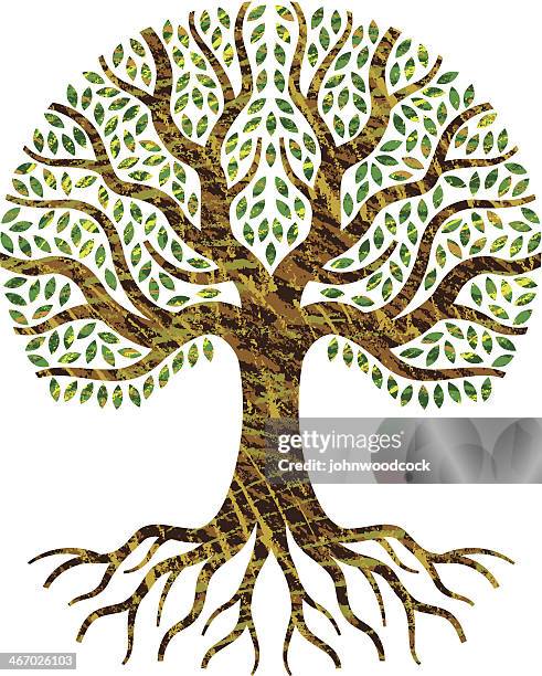 Tree Roots Texture Vector 1,426 Tree Root Texture Stock Photos, High-Res Pictures, and Images ...