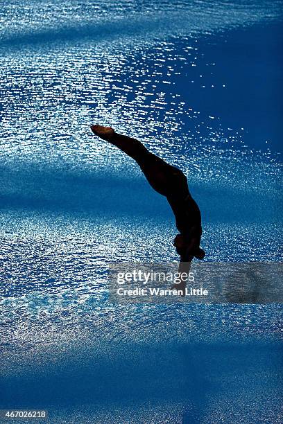 Jennifer Abel of Canada dives during the final of the Women's 3m Springboard on day two of the 2015 FINA/NVA Diving World Series at the Hamdan Sports...