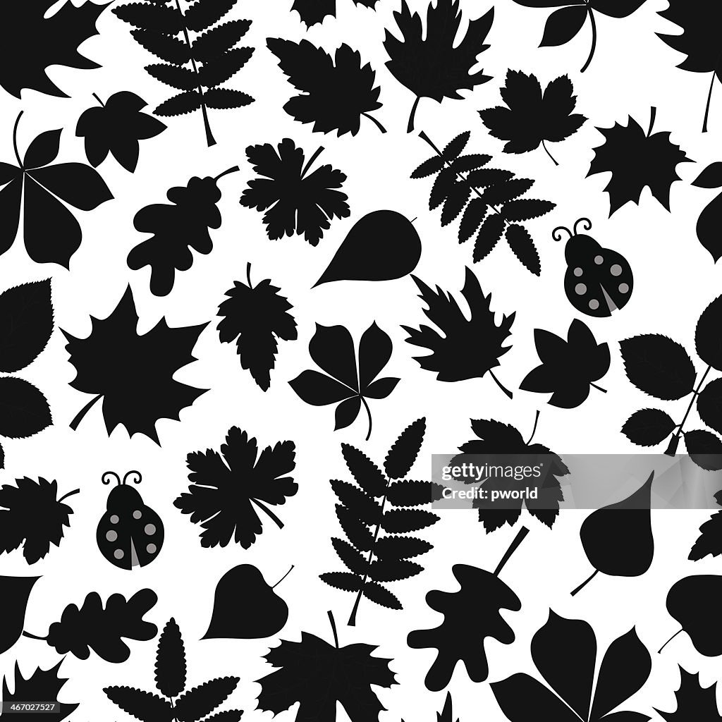 Floral pattern .
