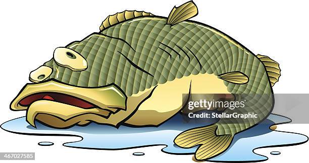 fish out of water - dead fish stock illustrations