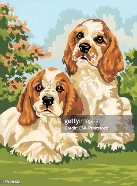 puppies - cocker spaniel stock illustrations