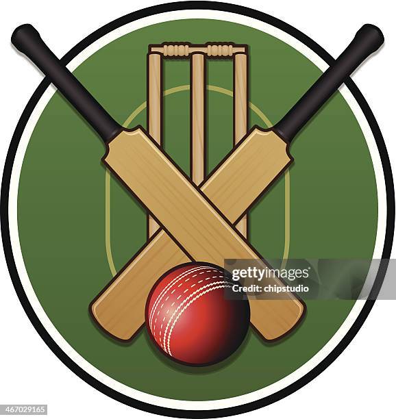 stockillustraties, clipart, cartoons en iconen met cricket logo - cricketbat