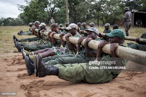 Nkwe Photos And Premium High Res Pictures Getty Images nkwe-photos-and-premium-high-res-pictures-getty-images
