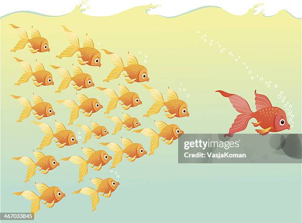 folgen sie dem tourleiter - fischschwarm stock-grafiken, -clipart, -cartoons und -symbole