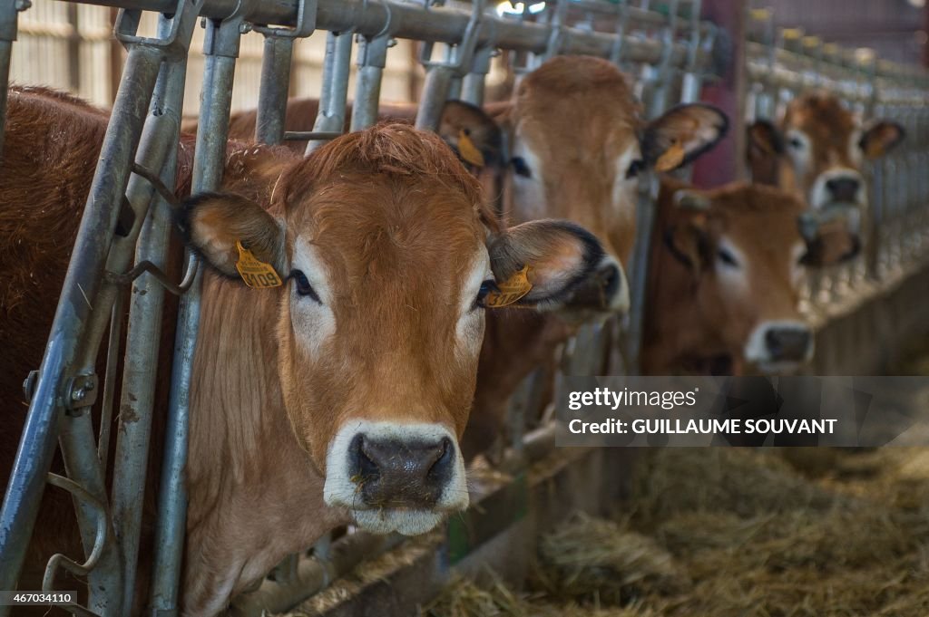 FRANCE-AGRICULTURE-DAIRY-MILK-QUOTAS