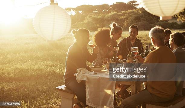 good times with great friends - picnic friends stock pictures, royalty-free photos & images