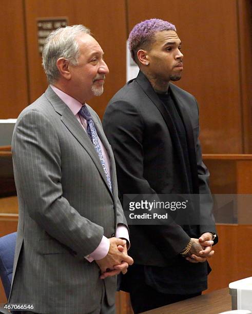Singer Chris Brown and his lawyer Mark Geragos attend a progress hearing at Los Angeles Superior Court on MARCH 20, 2015 in Los Angeles, California....