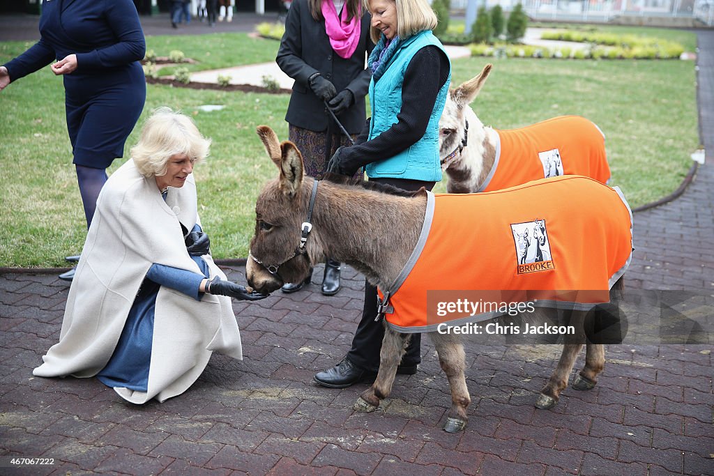 The Prince Of Wales And The Duchess Of Cornwall Visit Louisville, Kentucky