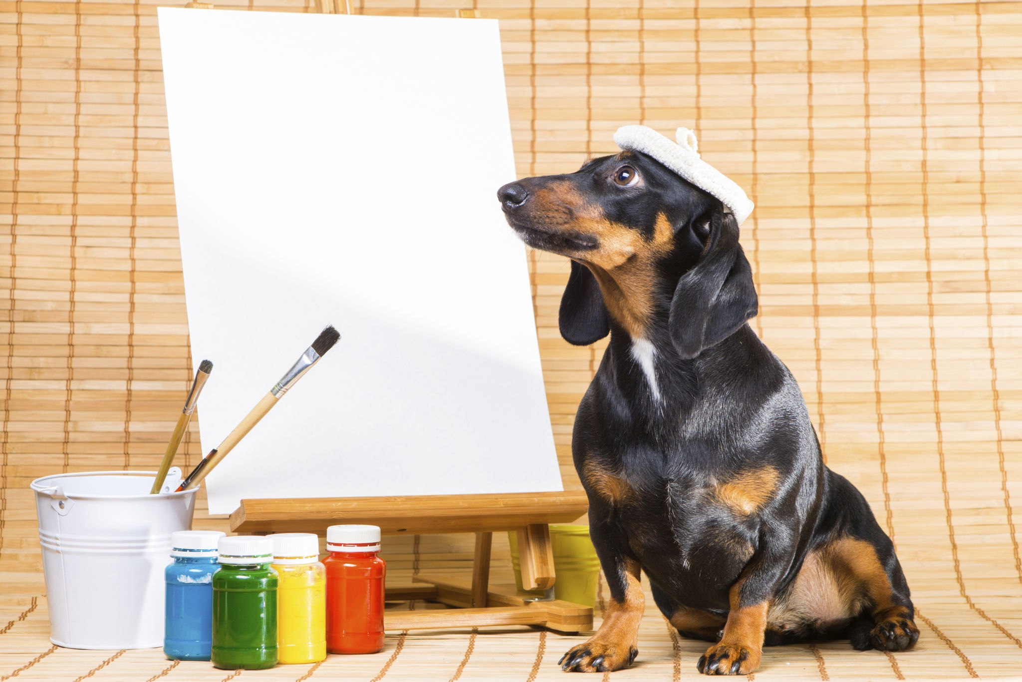 artist painting dog