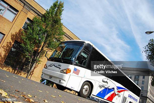 greyhound bus - greyhounds stock pictures, royalty-free photos & images