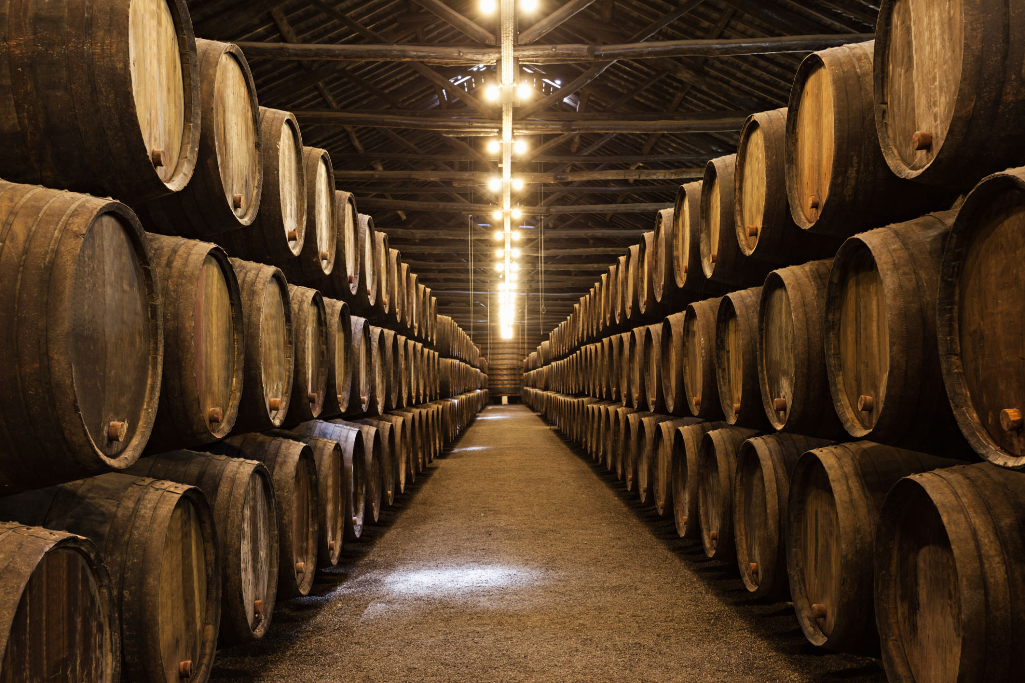 port wine cellar