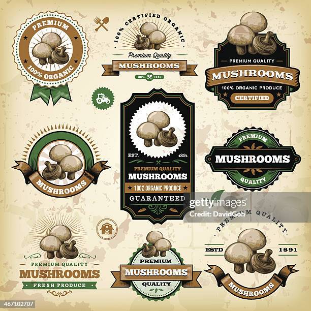 stockillustraties, clipart, cartoons en iconen met vintage mushroom labels - mushroom types