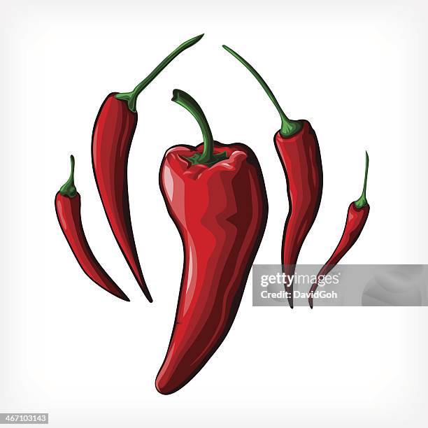 vector peppers - cayenne pepper stock illustrations