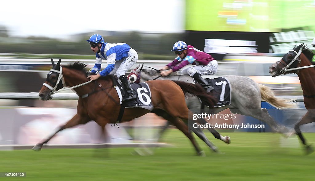 Golden Slipper Day