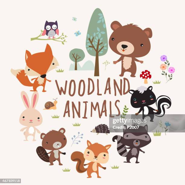 woodland animals - animals in the wild stock illustrations