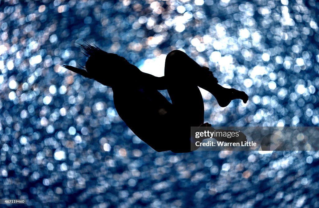 FINA/NVC Diving World Series 2015 - Day Three