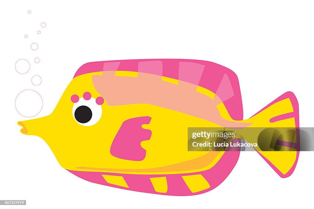 Colorful fish