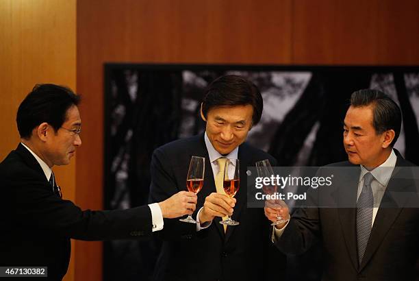 Japanese Foreign Minister Fumio Kishida, South Korean Foreign Minister Yun Byung-Se and Chinese Foreign Minister Wang Yi make a toast during a...