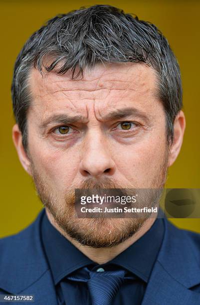 Slavisa Jokanovic Manager of Watford looks on ahead of the Sky Bet Championship match between Watford and Ipswich Town at Vicarage Road on March 21,...